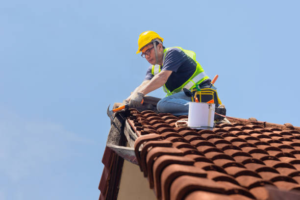 Best Roof Leak Repair  in Timpson, TX